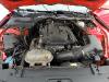 Ford Mustang 2.3 Ecoboost Aut 317cv ocasion