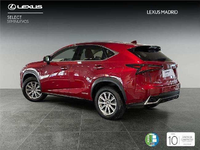 Lexus Nx 200t Suv Business 2.5 H�brido Gasolina (197cv) Transmi ocasion - Lexus Madrid