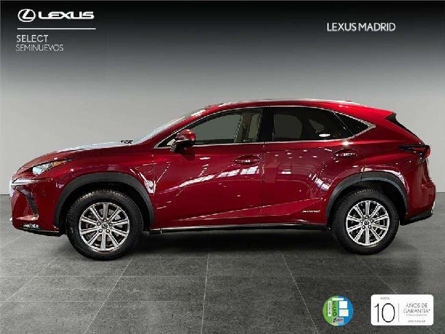 Lexus Nx 200t Suv Business 2.5 H�brido Gasolina (197cv) Transmi ocasion - Lexus Madrid