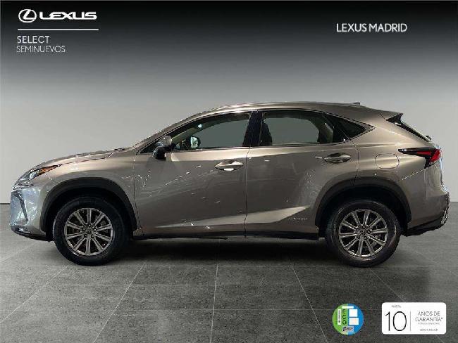 Lexus Nx 300h Business Navigation 2wd ocasion - Lexus Madrid