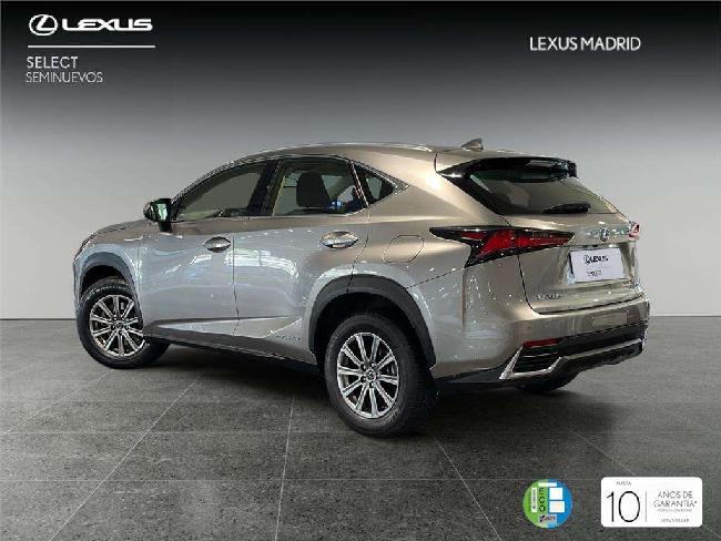 Lexus Nx 200t Suv Business 2.5 Hbrido Gasolina (197cv) Transmi ocasion - Lexus Madrid