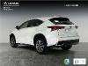 Lexus Nx 300h Executive Navigation 4wd ocasion