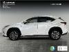 Lexus Nx 300h Executive Navigation 4wd ocasion
