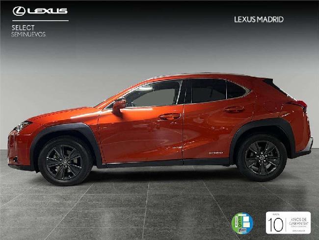 Lexus Ux 200 Suv Business 2.0 Hbrido Gasolina Transmisin Au ocasion - Lexus Madrid