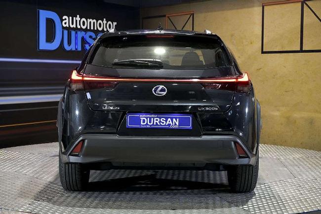 Lexus Ux 300e Business ocasion - Automotor Dursan