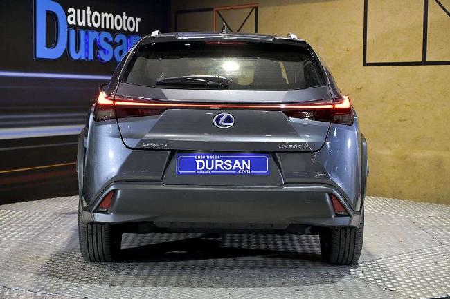 Lexus Ux 300e Business ocasion - Automotor Dursan